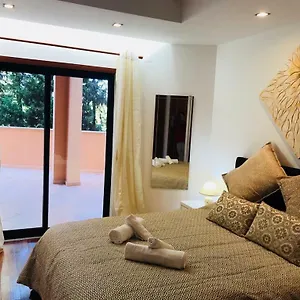 Rother Da Luxury Luz